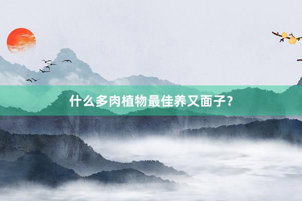 什么多肉植物最佳养又面子？