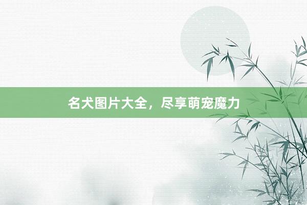 名犬图片大全，尽享萌宠魔力