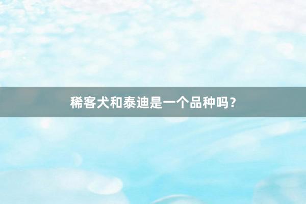 稀客犬和泰迪是一个品种吗？
