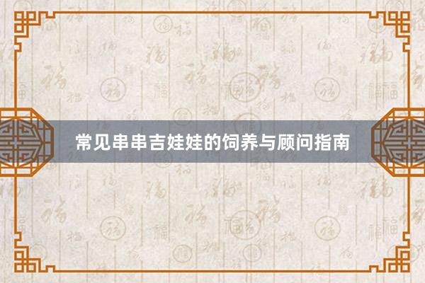 常见串串吉娃娃的饲养与顾问指南